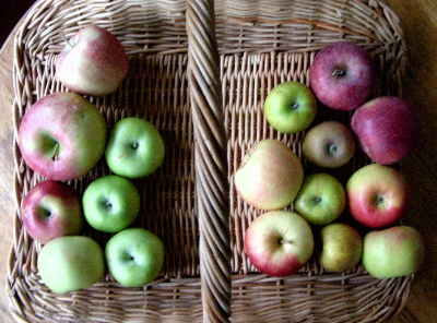 apple-varieties.jpg
