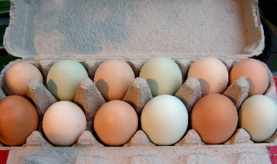 ilanas-eggs.jpg