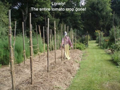 leslie land (bakaitis photo) lonely scarecrow