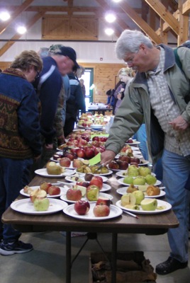 Somewhere well north of 50 apple varieties laid out for tasting.