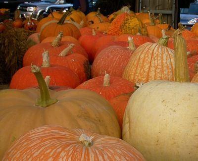 To avoid the same old supermarket same old, stock up on winter squash while you can still buy it from a farmer.  