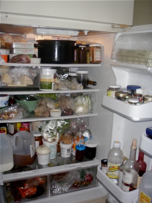 leslie land kitchen fridge, day after thanksgiving
