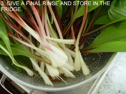  ramps prepared for cooking