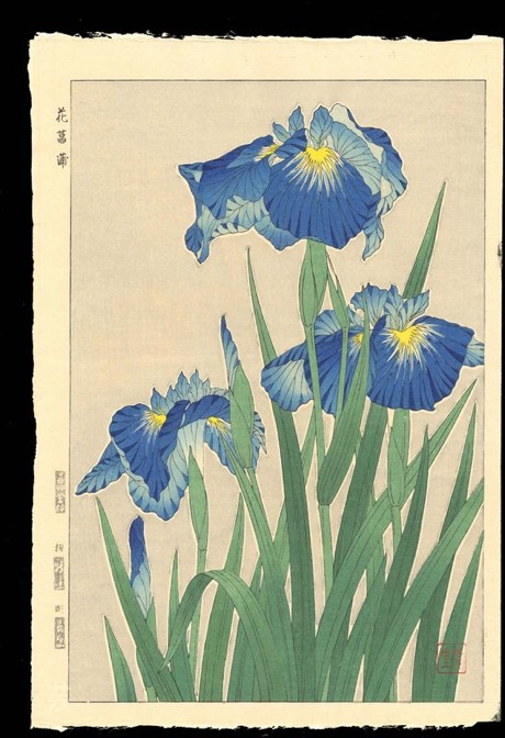 Kawarazaki_Shodo-Floral_Calander_of_Japan ohmi gallery
