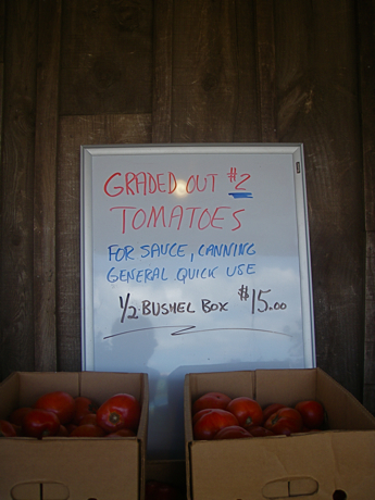 farm stand tomato sale sign