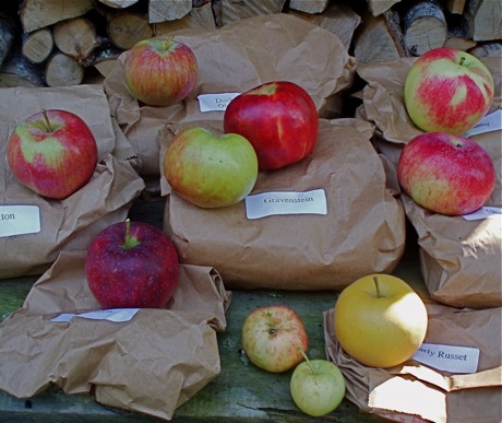 heirloom apples on labeled bags