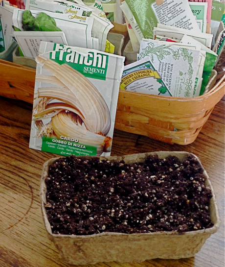 seed starting container and soil